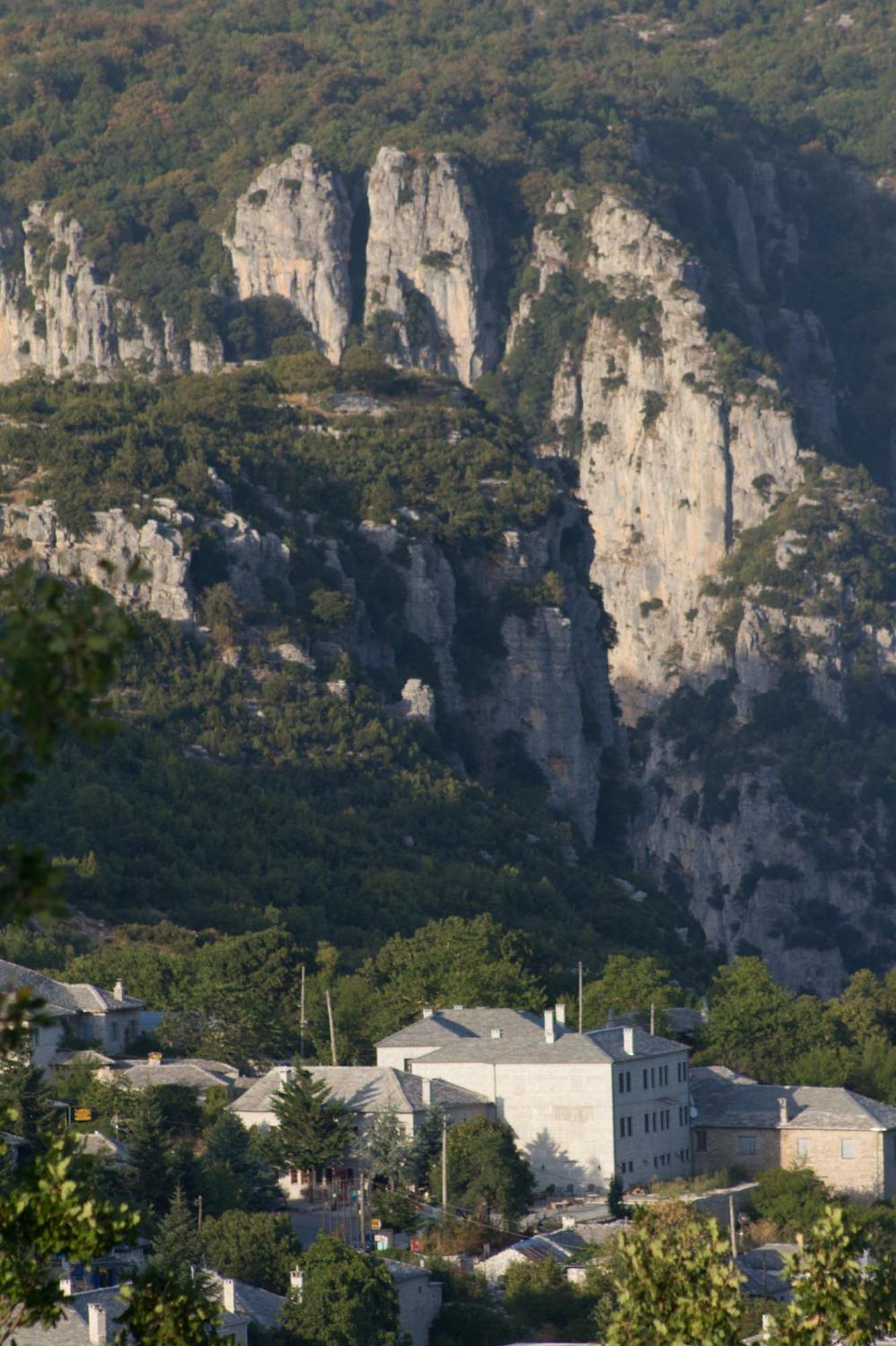 Ξενοδοχείο Μονοδένδρι Εξωτερικό φωτογραφία